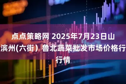 点点策略网 2025年7月23日山东滨州(六街）鲁北蔬菜批发市场价格行情