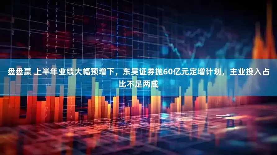 盘盘赢 上半年业绩大幅预增下，东吴证券抛60亿元定增计划，主业投入占比不足两成