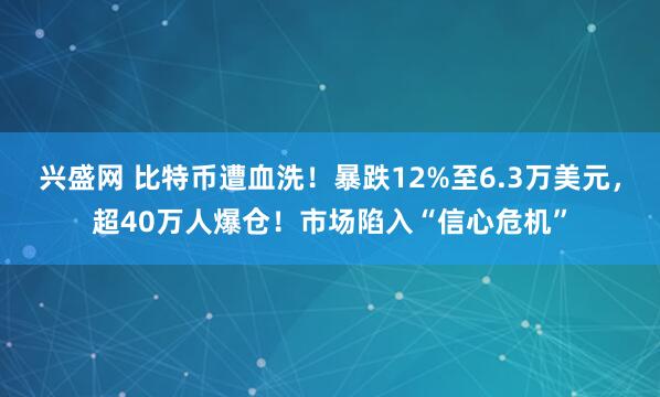 兴盛网 比特币遭血洗！暴跌12%至6.3万美元，超40万人爆仓！市场陷入“信心危机”