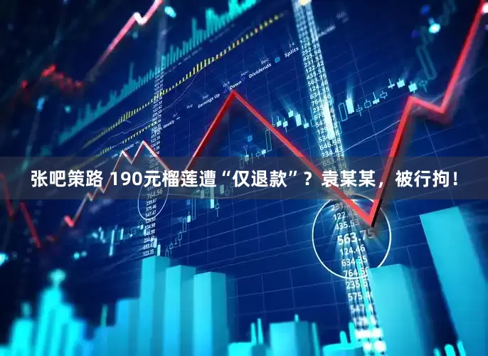 张吧策路 190元榴莲遭“仅退款”？袁某某，被行拘！