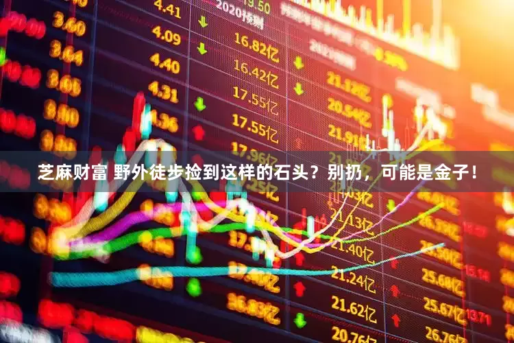 芝麻财富 野外徒步捡到这样的石头？别扔，可能是金子！